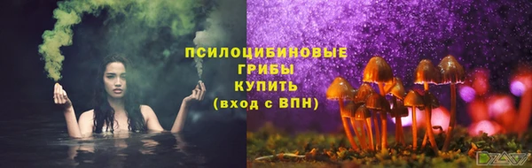 стафф Баксан