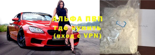индика Балабаново