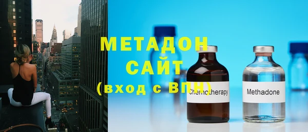 сатива Новозыбков