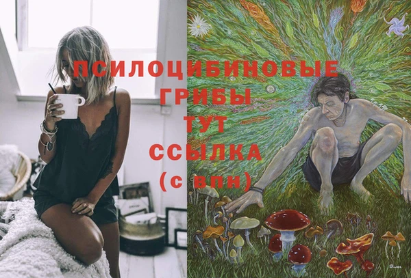 гашик Балахна