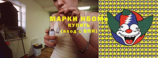 индика Балабаново