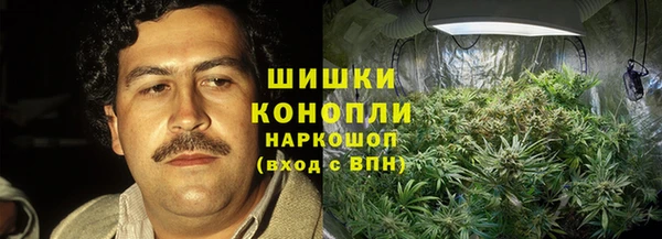 амфетамин Белокуриха