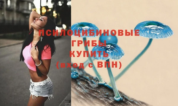 гашик Балахна