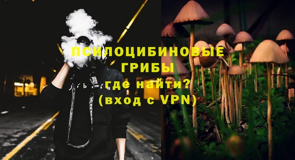 гашик Балахна