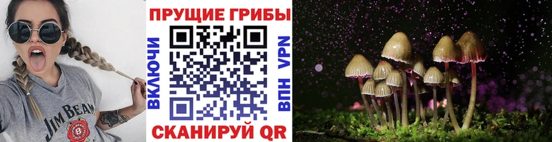 Галлюциногенные грибы GOLDEN TEACHER  где найти   Кущёвская 